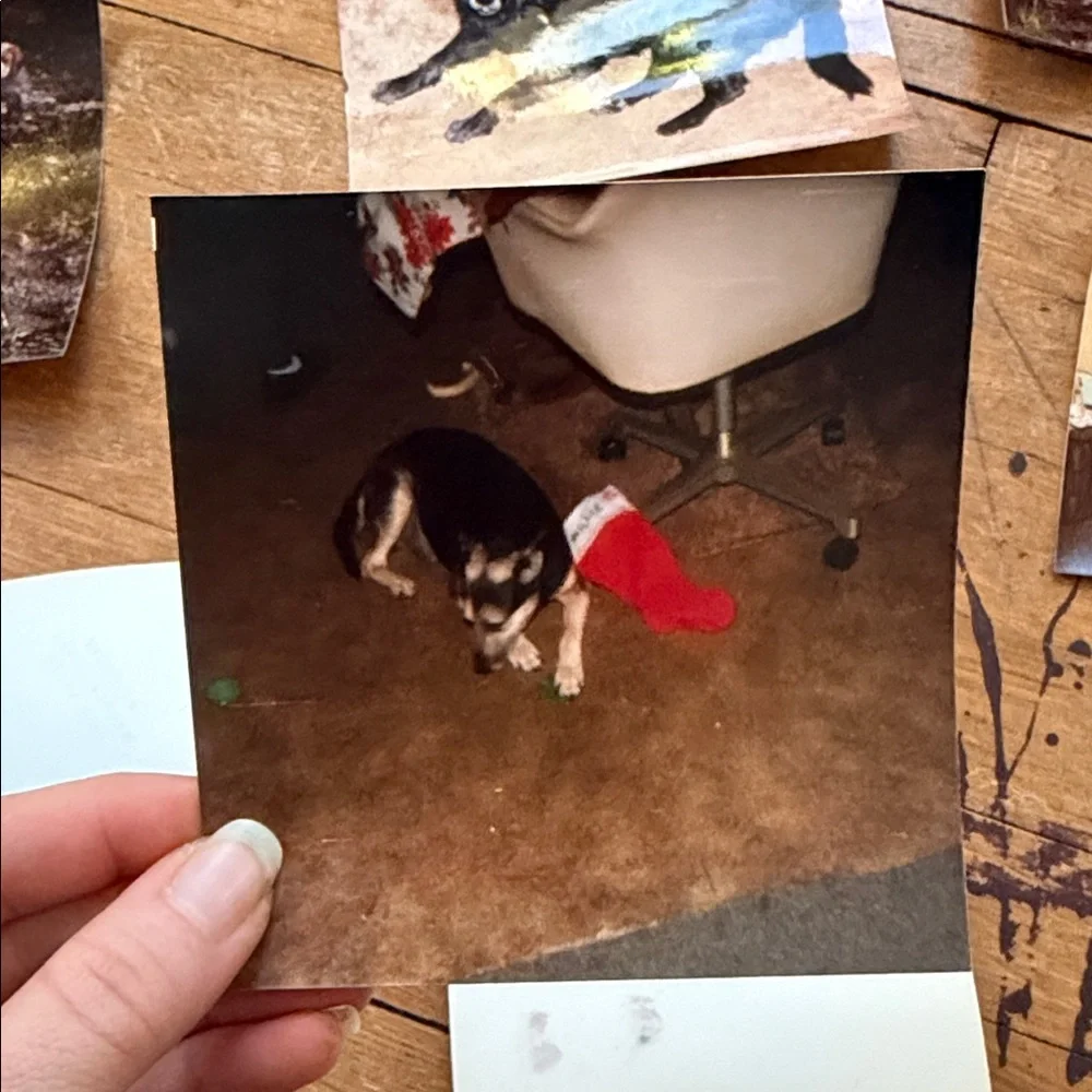 Vintage Photo Collection